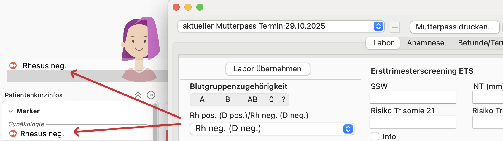 mutterpass2